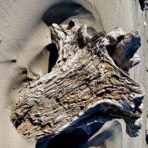 Driftwood IV