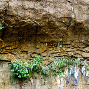 Zion Green