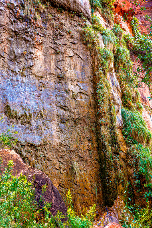 _T5A0064-zion-steve-2-jfb-print-toipaz-web