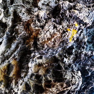 Texture 02